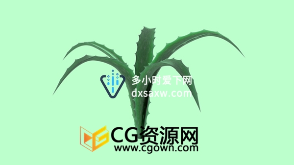 C4D教程 芦荟植物建模贴图制作生长动画整个过程 Cinema4D视频教程
