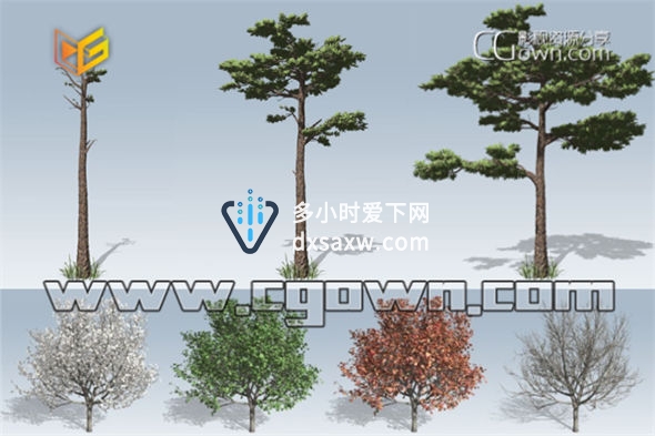 Speedtree Cinema v7.1.1 真实三维树木建模生长动画软件