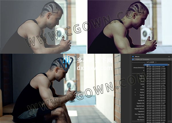 FCPX插件60组LUT调色预设电影胶片质感风格+视频教程 FinalCutProX