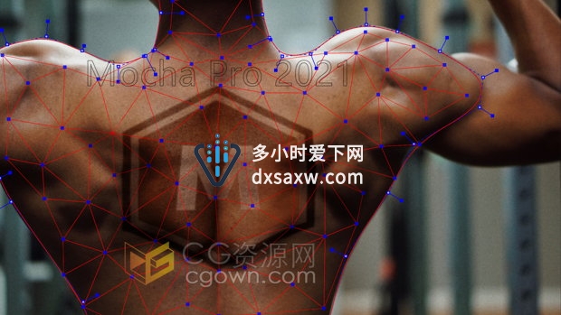 Mocha Pro 2021 v8.0.2摄像机反求跟踪软件与Adobe/OFX插件
