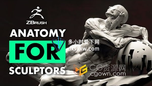 ZBrush 2021人体结构雕刻基本解剖学视频教程