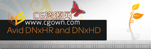 Avid DNxHR and DNxHD Quicktime 编解码器 v2.6.0（Win）