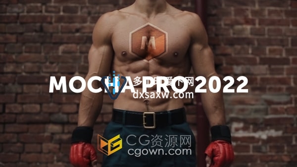 AVID插件Mocha Pro 2022 v9.0.1专业摄像机反求平面跟踪