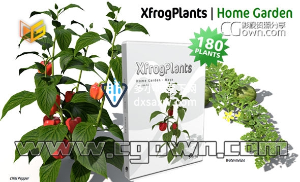 C4D模型 水果与蔬菜田园植物3D模型合集 XfrogPlants – HOME GARDEN