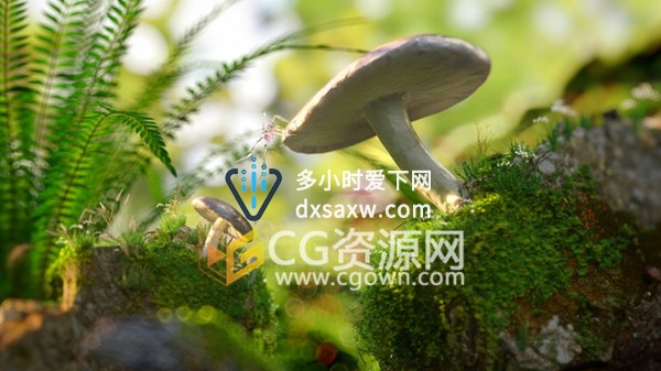 C4D结合Megascans和Octane制作渲染真实自然环境三维场景