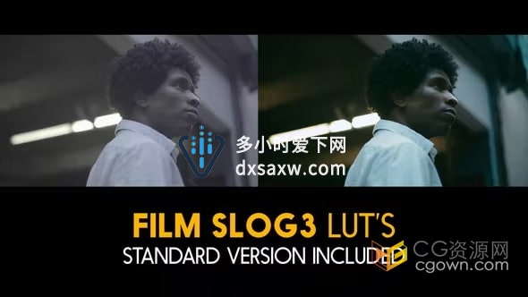 20个索尼Slog3和标准电影LUTs预设文件下载