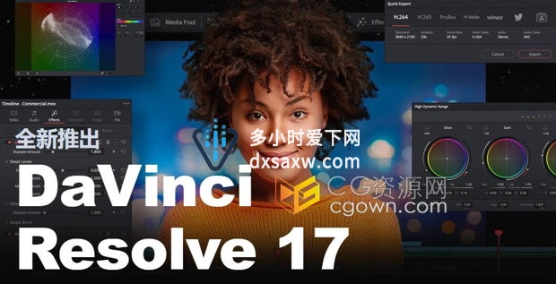 DaVinci Resolve 17.1专业剪辑调色特效和音频后期制作