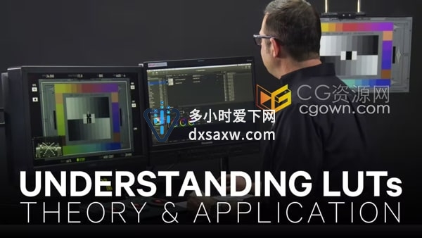 全面了解LUTs理论与应用达芬奇教程DaVinci Resolve