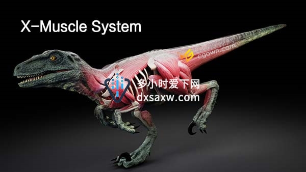 Blender插件X-Muscle System 3.0肌肉组织系统模拟器