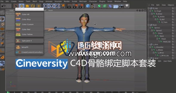 C4D R16人物角色骨架绑定套装脚本插件 Cineversity Premium Rig-It Scripts