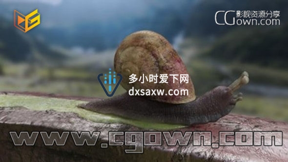 Maya教程 V-Ray光影着色技术训练视频教程 创建逼真的材质