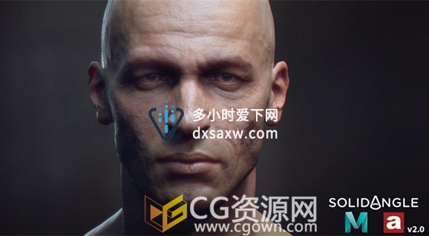 SolidAngle插件MtoA v3.3.0.1支持Maya版本Arnold渲染器安装下载