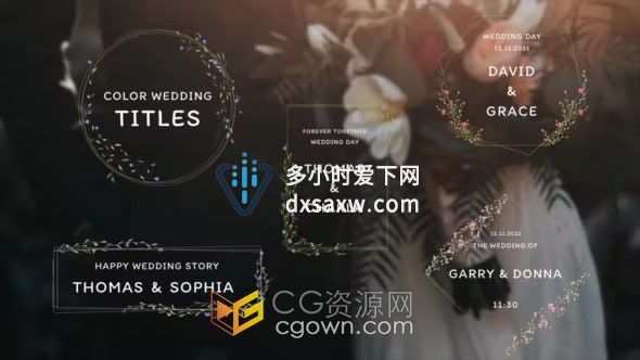 鲜花徽章浪漫爱情文字标题复古排版婚礼视频字幕Wedding Titles-达芬奇模板