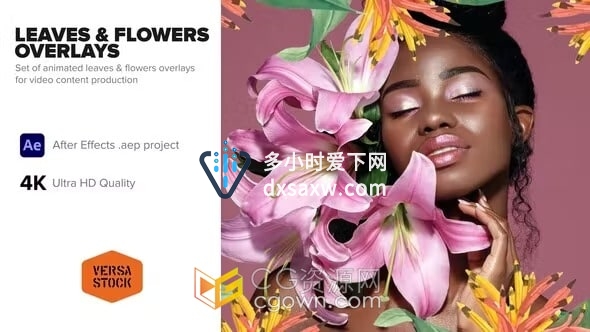 AE模板-叶子和花朵叠加动画高级美妆广告品牌宣传视频制作