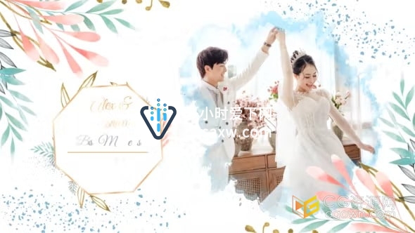 AE婚礼相册模板-唯美花瓣水彩浪漫风格通用纯洁婚礼演示视频