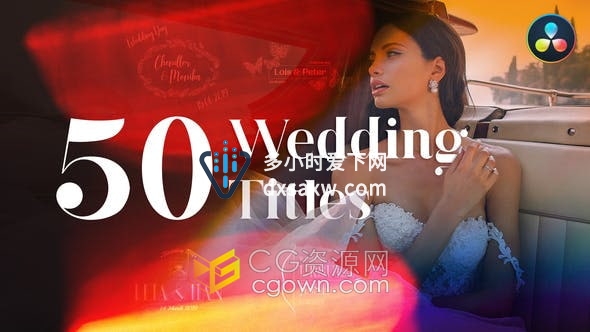 达芬奇模板-50个现代经典华丽优雅的婚礼标题浪漫徽章制作周年庆典婚礼请柬