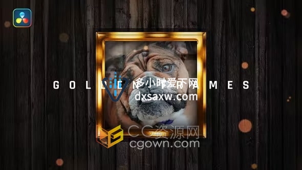 达芬奇模板-闪烁光斑光滑金色边框深色木墙皇家视觉主题优雅视频相册